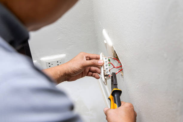 Best Electric Panel Repair  in Holiday Heights, NJ