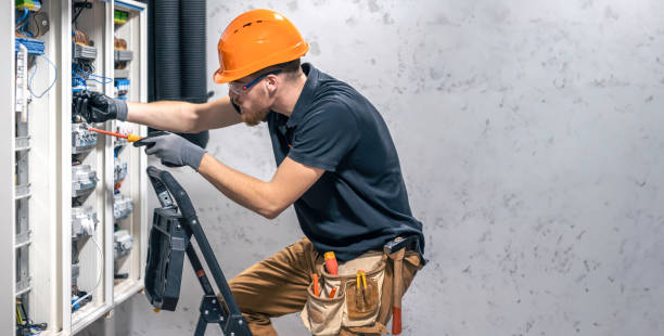 Best Electric Panel Repair  in Holiday Heights, NJ